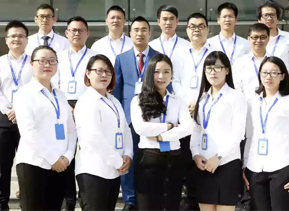 Ledes Sales Engineers Team Show