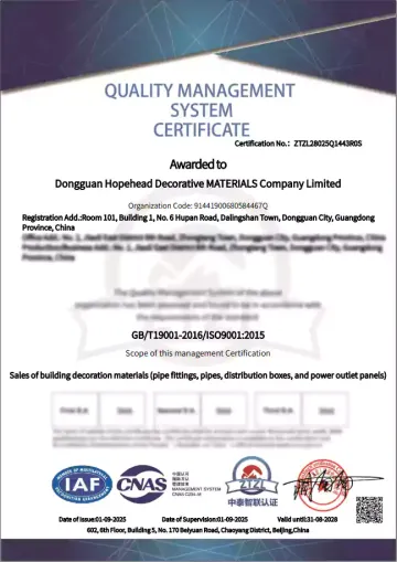 Iso 9001 Certification of Ledes